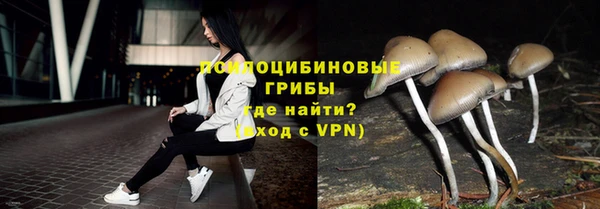 дурь Алексин