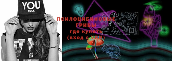 PSILOCYBIN Абаза