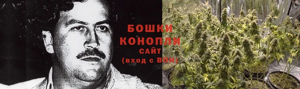 PSILOCYBIN Абаза