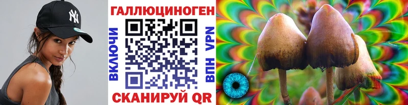 ссылка на мегу ссылки  Алексеевка  Галлюциногенные грибы MAGIC MUSHROOMS 