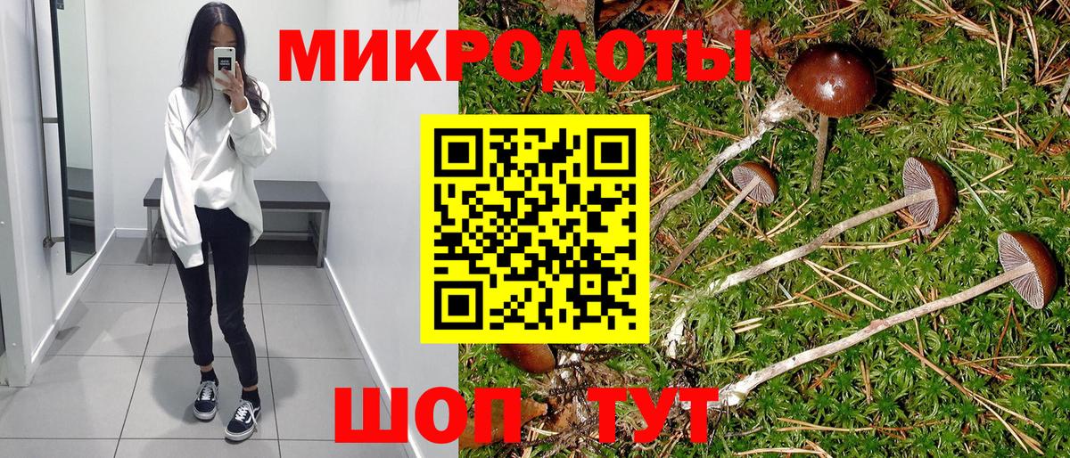 Псилоцибиновые грибы Psilocybe Алексеевка