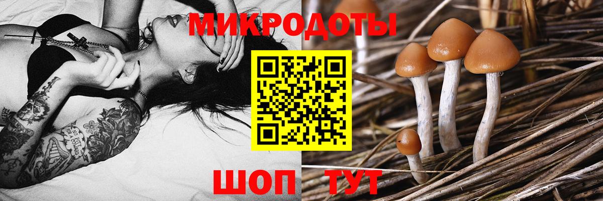 Алексеевка  Псилоцибиновые грибы мухоморы  Вход с VPN 